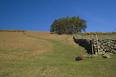 Path up to High Snab Bank