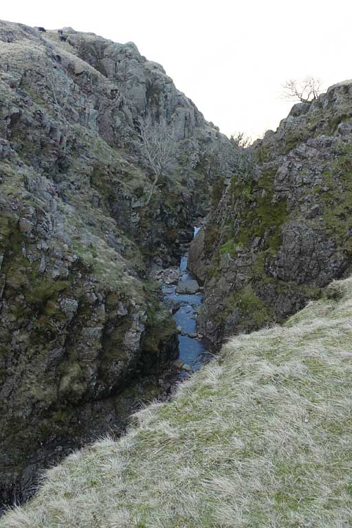 Ruddy Gill