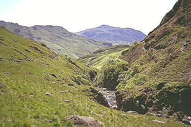 Throstle Garth from above Esk Falls