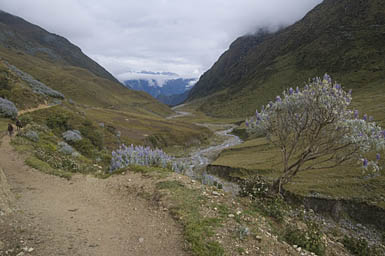 Rio Yanama 2